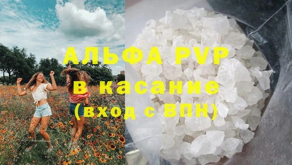 сатива Кукмор