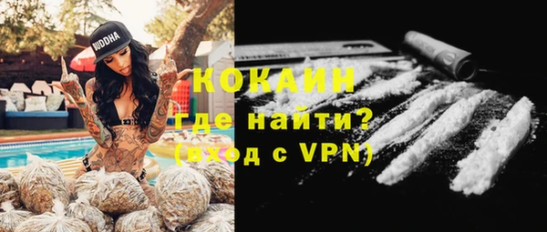 сатива Кукмор