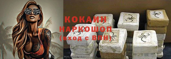 шишки Лагань