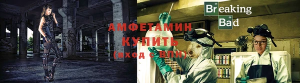 шишки Лагань