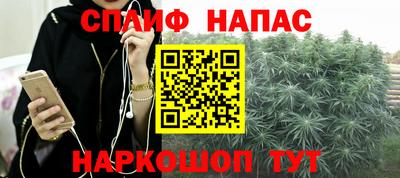 крисы Канаш