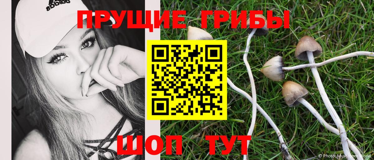 Псилоцибиновые грибы Cubensis Усть-Илимск