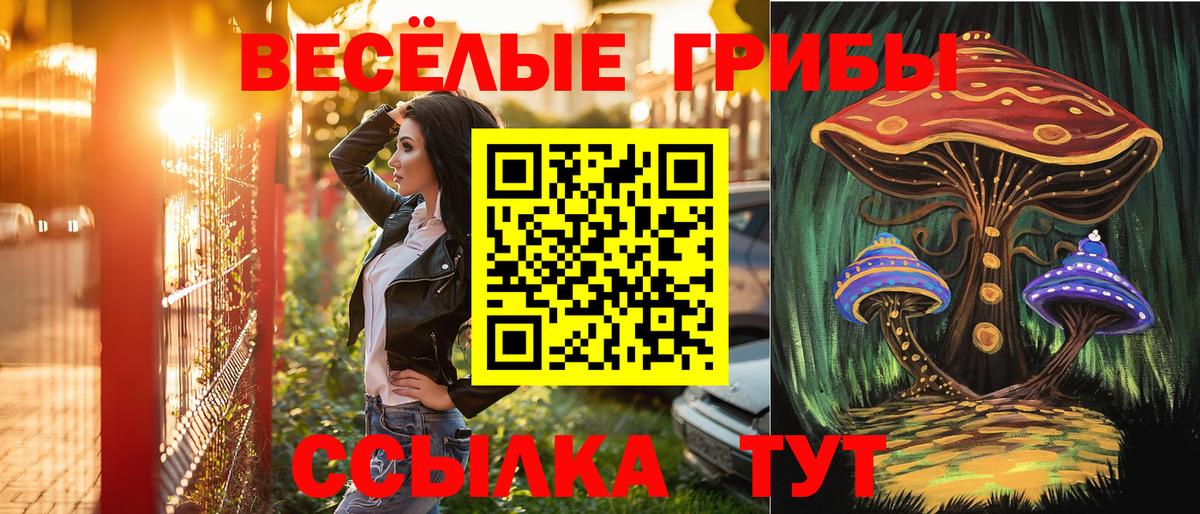 наркошоп  Псилоцибиновые грибы Psilocybe  Усть-Илимск  Вход с VPN  Галлюциногенные грибы прущие грибы 
