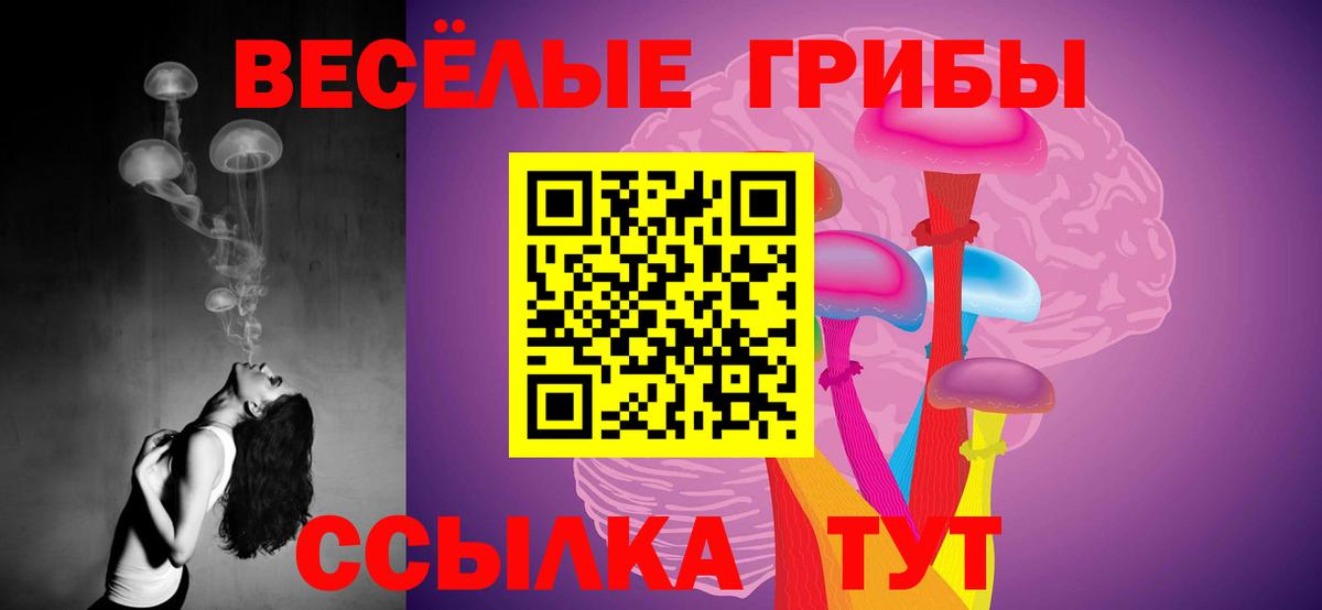 Галлюциногенные грибы мицелий  цены наркотик  Усть-Илимск 